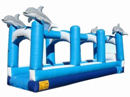 Ocean wave dolphin slip and slide Inflatable water slide